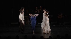 Flamenco Caleidoscopio【ARTE Y SOLERA 30th Anniversary Recital 2022】