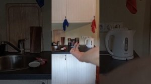 VID_20220811_191507(0).mp4