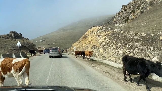 Кисловодск апрель 2021 смотреть онлайн