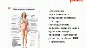 Общие представления об эндокринной системе