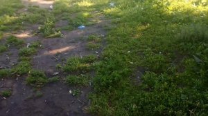 С рыбалки Москва река Жуковский, черный яр