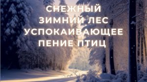 Снежный зимний лес - Успокаивающие звуки пения птиц зимним морозным утром.