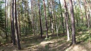 В походе от Быструхи до Шеманихи. Пеший поход.