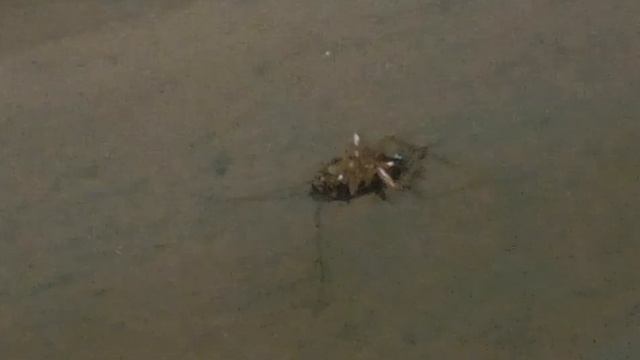 #La наши соседи смотреть онлайн