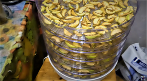 Как сушить яблоки в домашних условиях на электросушилке. Обзор электросушителя Ветерок-2, часть 2.