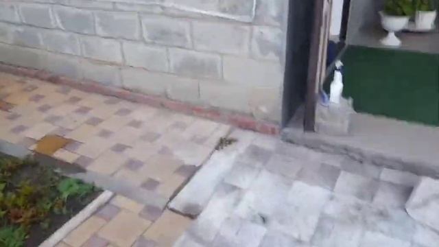 Переезд на юг из Сибири. #Клубника#Розы# Хосты#Чеснок#Закуска# смотреть онлайн