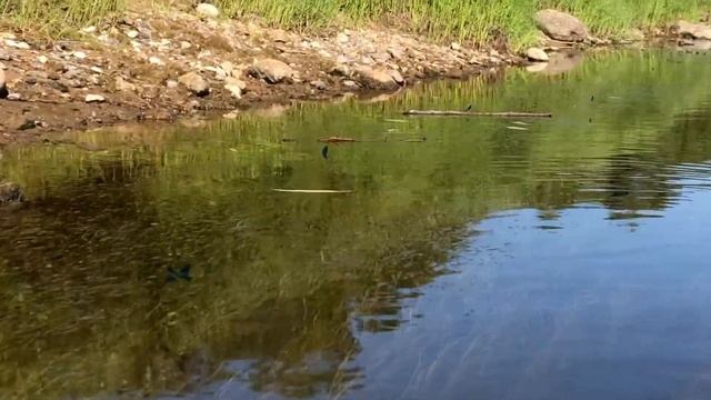 Сплав по Тверце 2021 смотреть онлайн