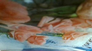 Ней-на-на(И когда деревья были выше в первый раз от мамы слышала ней -на-на-на(ней - на-на(наброски