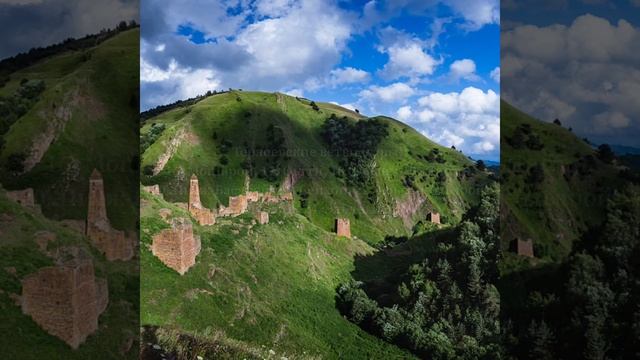 Чеченский тэйп (род) Терлой/ТIирой смотреть онлайн