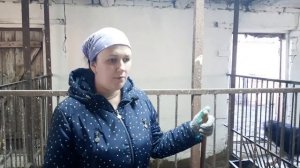 ПОЧЕМУ СВИНЬИ НЕ БИЗНЕС.РАЗВЕДЕНИЕ ПОРОСЯТ.