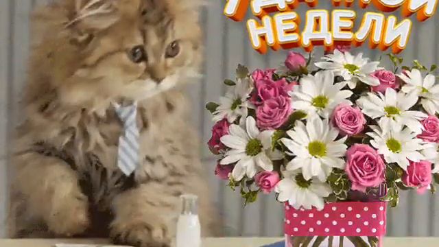 Хорошего Понедельника Всем Друзья .