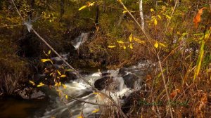 Забайкалье. Река Менза. День второй, первая рыба.