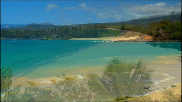 81 Виктор Горшков - Едва касаясь... смотреть онлайн