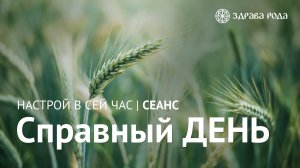 Справный день. Оздоровительный сеанс Здравы РОДА.