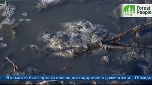 Экологические катастрофы 2021 года в России. ТОП-3 эко кошмара современной России.