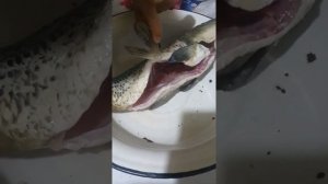 Рыба шевелится после распотрошения