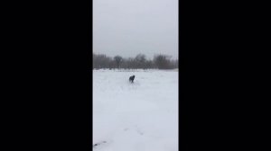 Если с другом вышел в путь ))