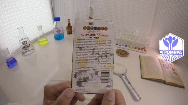 Астра помпонная Наташа. Гавриш смотреть онлайн