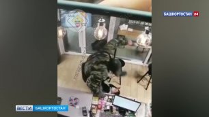 Пинал продавца по лицу: зверское ограбление в Башкирии попало на видео