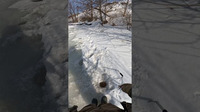 Елец р.Рудня Нижегородская область