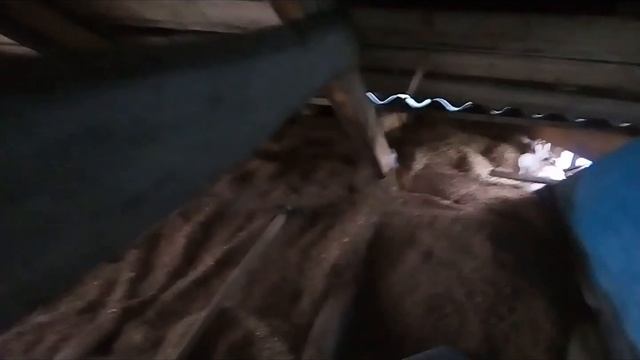 Утепление потолка смотреть онлайн