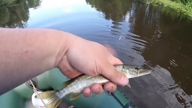 Ловля щуки летом. Рыбалка на красивой реке. смотреть онлайн