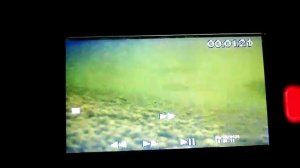 Съёмка с подводной камеры Калипсо