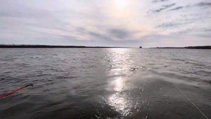 Как клюёт сом в Астрахани? Рыбалка в Мумра. Конец ноября 2024.