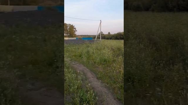 видео создано в юмористических целях! на видео семейство корсиков (мать, сын и его дочь) #канекорсо