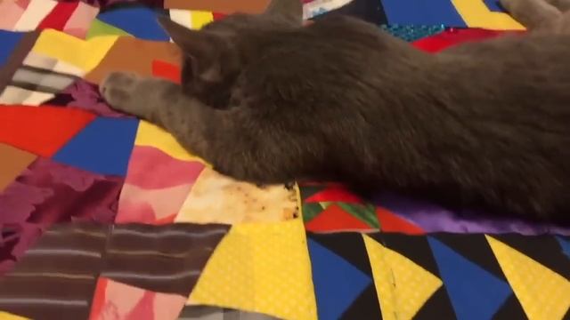 ЛОСКУТНОЕ ОДЕЯЛО ИЗ РАЗЛИЧНЫХ БЛОКОВ СБОРКА СТЁЖКА ОБРАБОТКА И МОЯ ПРИНЦЕССА Мастер класс #геллачар