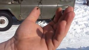 МУХА ЗИМОЙ НА ПРОГУЛКЕ  WINTER WALK ON THE FLY