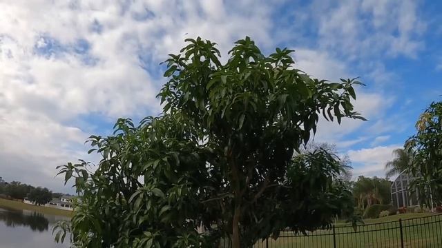 Сложная обстановка на ВСУ.