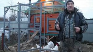 Особенности содержания кур несушек в зимний период.