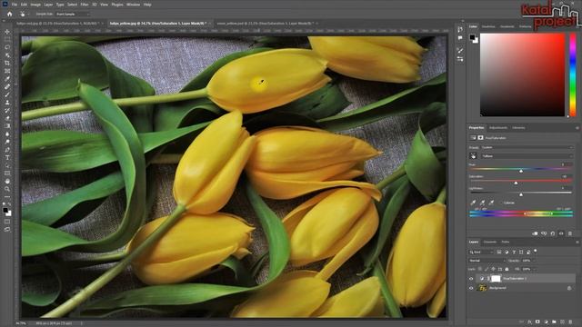 Как изменить цвет объекта в Photoshop — Hue/Saturation | урок Photoshop 2022 | KatalProject