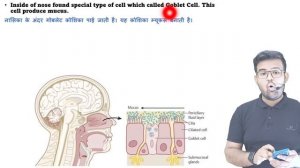 Respiratory System (श्वसन तंत्र) | Respiratory Tract | Lungs | Bronchi | Trachea | Alveoli | Larynx