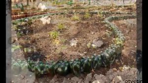Бордюры для клумб из пластиковых бутылок