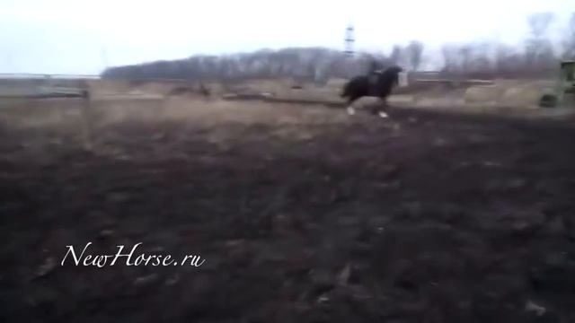 Владимирский тяжеловоз смотреть онлайн