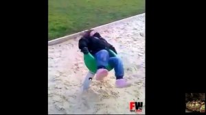 мама раскрутила дочку и та вылетела с качели, жесткий прикол