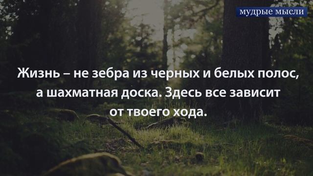 Афоризмы с Глубоким Смыслом | Чаша Мудрости смотреть онлайн