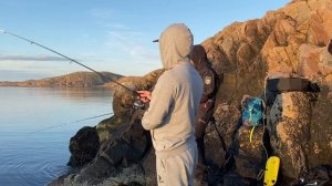 Фрикцион горит от этой рыбы. Рокфишинг в Териберке.