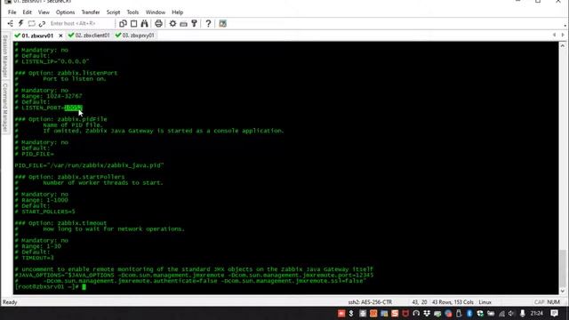 Zabbix Java gateway - Teoría + Practica смотреть онлайн