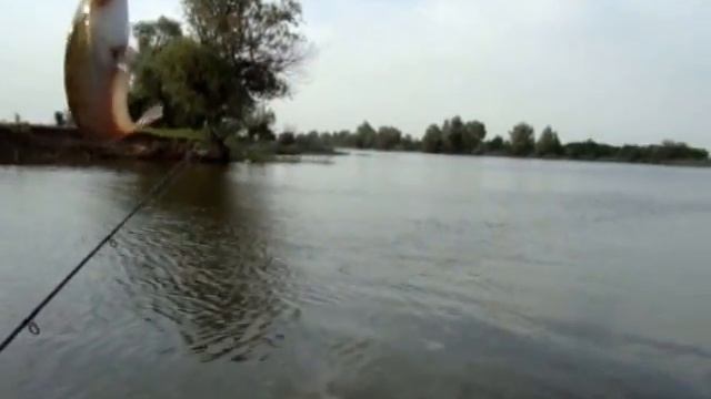 РЫБАЛКА " ДЕД"-  СОМ май июнь  Астрахань Полдневое 2008