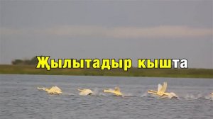 Кыр Казлары Караоке