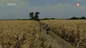 Топ 5 Турецких Сериалов на Русском Языке Которые Хочется Пересматривать