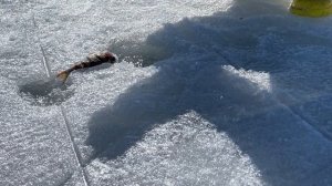 Рыбалка с дедушкой на Финском заливе 8 апреля 2023г Бухта Ключевская