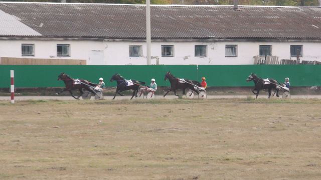 2.10.2021г.Абакан Приз в честь дня Конституции Рыс.4-х лет и старше 2400м