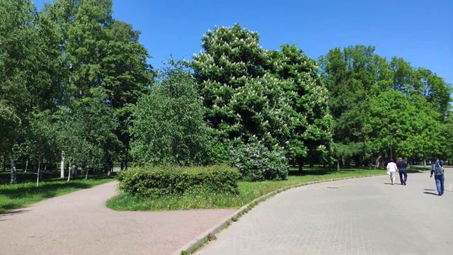 Park Pobedy - Saint Petersburg - 4K (60 fps) 9.06.2022 смотреть онлайн
