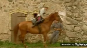 Чёрный ворон друг ты мой залётный