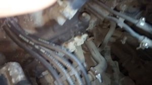 Нисан примера альмера