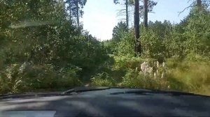 Старая таёжная тропа